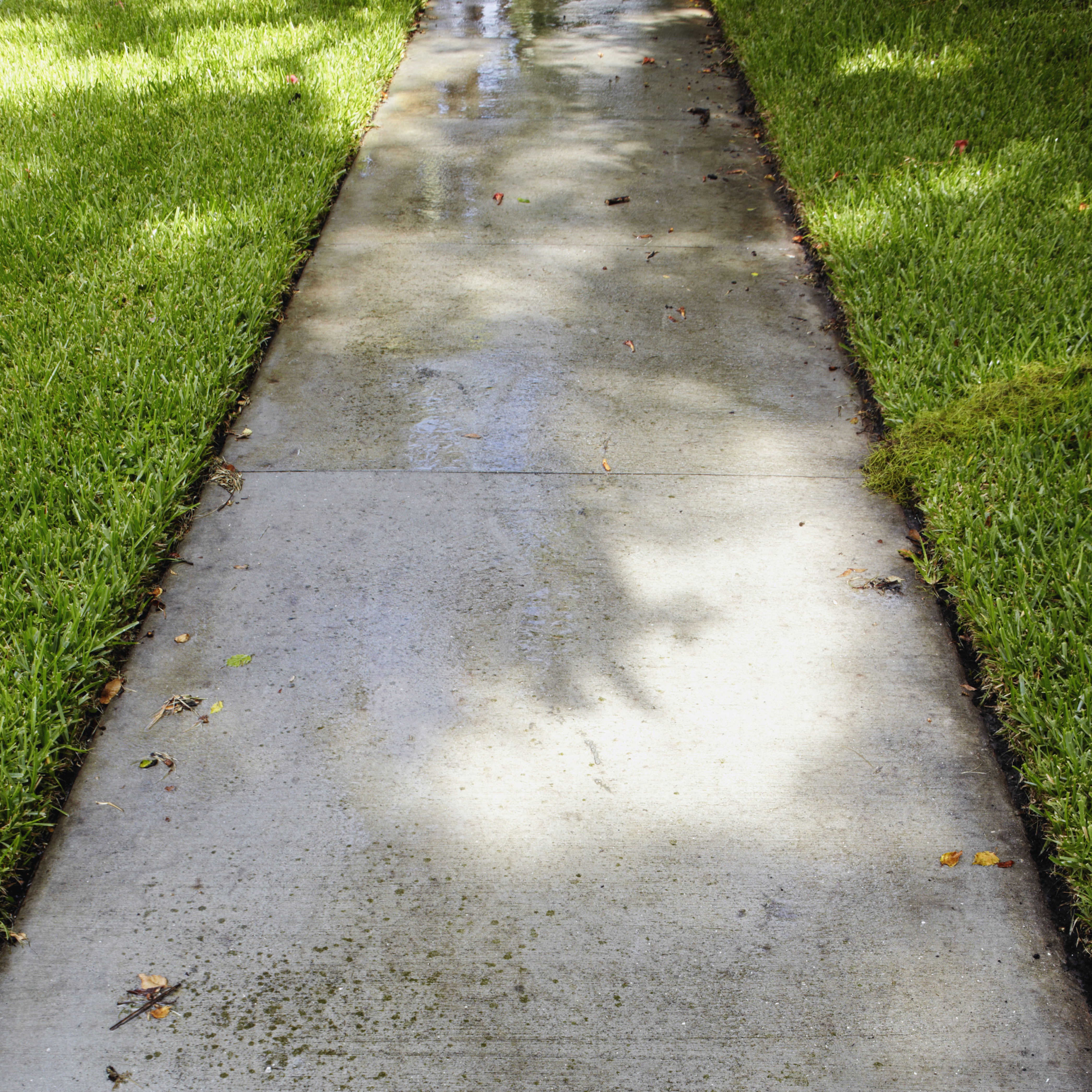 A poured concrete walkway running through a suburban lawn